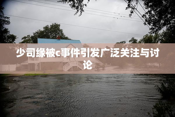 少司缘被c事件引发广泛关注与讨论