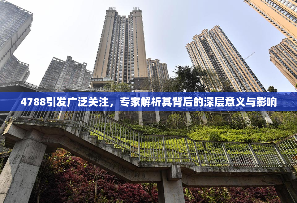 4788引发广泛关注，专家解析其背后的深层意义与影响