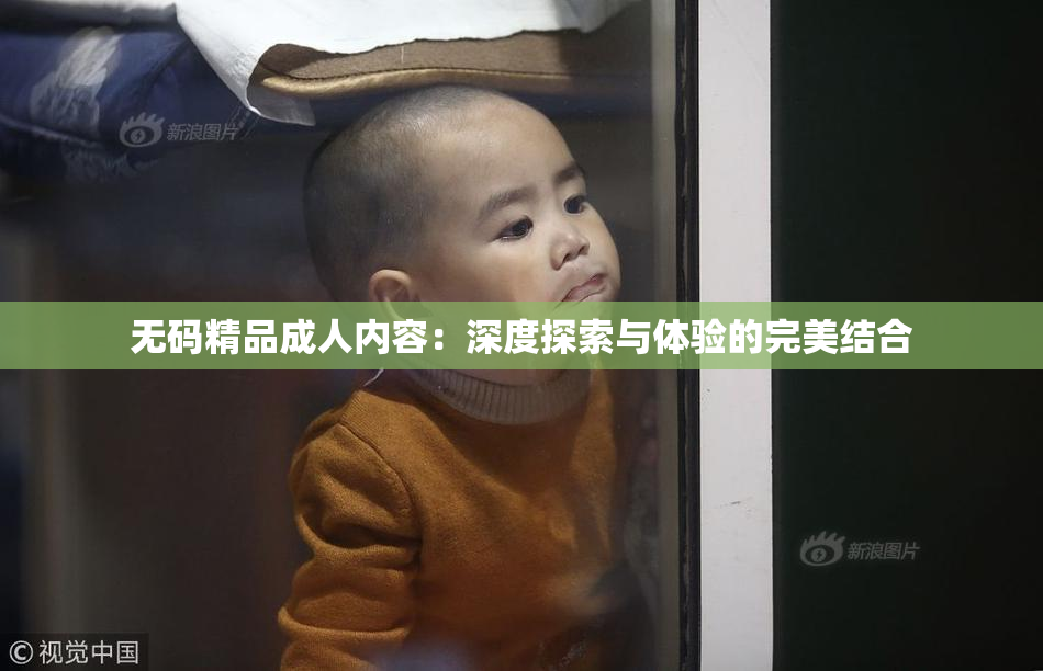 无码精品成人内容：深度探索与体验的完美结合