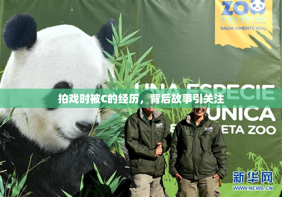 拍戏时被C的经历，背后故事引关注