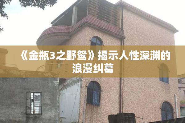 《金瓶3之野鸳》揭示人性深渊的浪漫纠葛