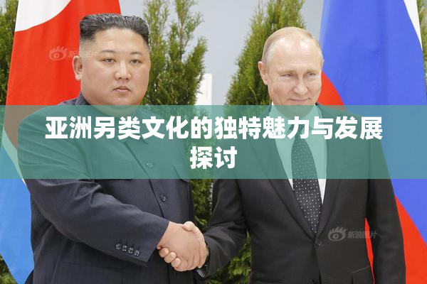 亚洲另类文化的独特魅力与发展探讨