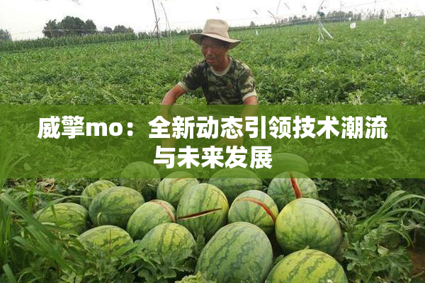 威擎mo：全新动态引领技术潮流与未来发展