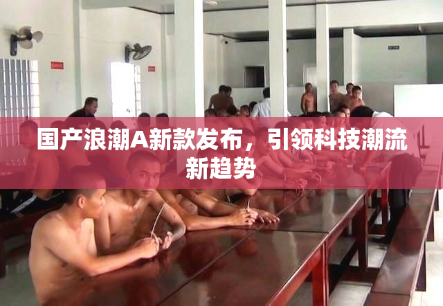 国产浪潮A新款发布，引领科技潮流新趋势