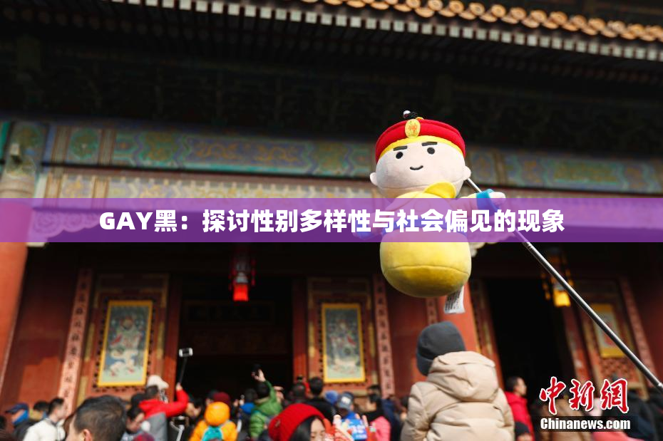 GAY黑：探讨性别多样性与社会偏见的现象