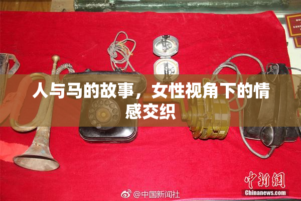 人与马的故事，女性视角下的情感交织