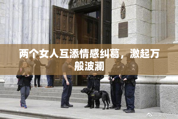 两个女人互添情感纠葛，激起万般波澜