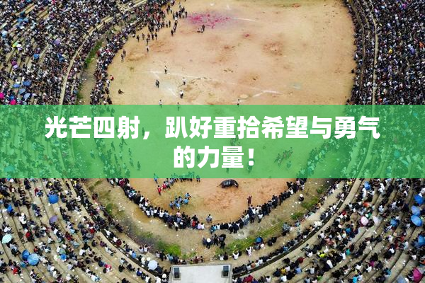 光芒四射，趴好重拾希望与勇气的力量！