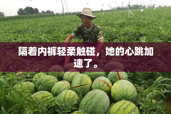 隔着内裤轻柔触碰，她的心跳加速了。