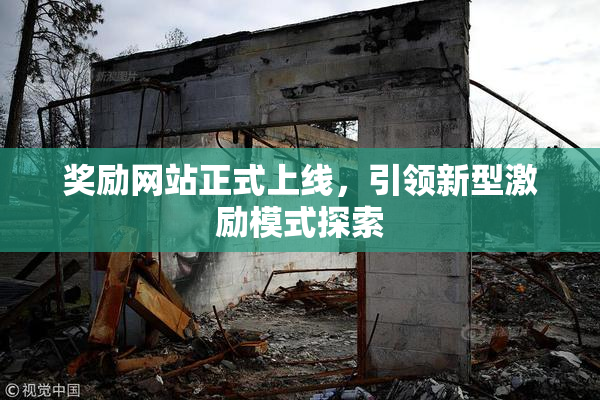 奖励网站正式上线，引领新型激励模式探索