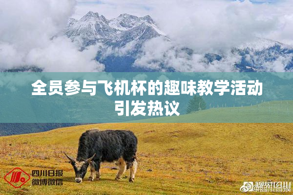 全员参与飞机杯的趣味教学活动引发热议
