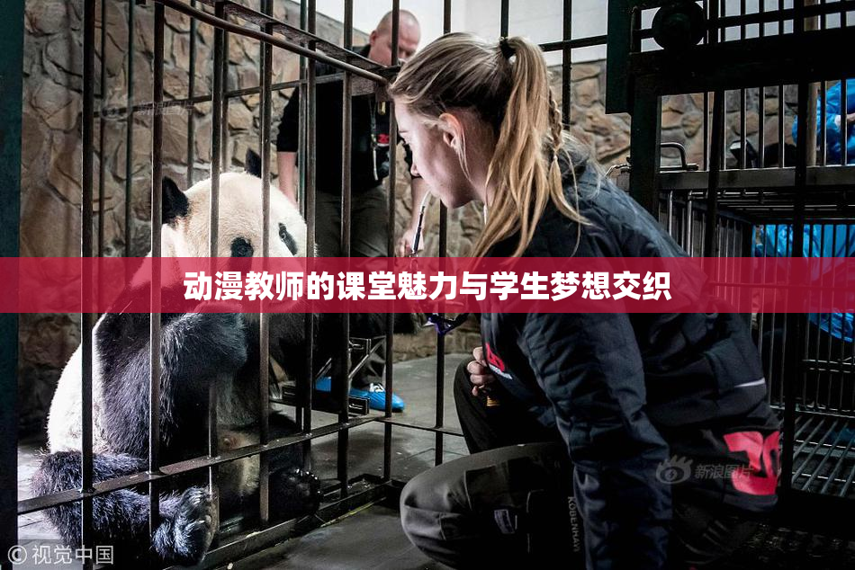 动漫教师的课堂魅力与学生梦想交织