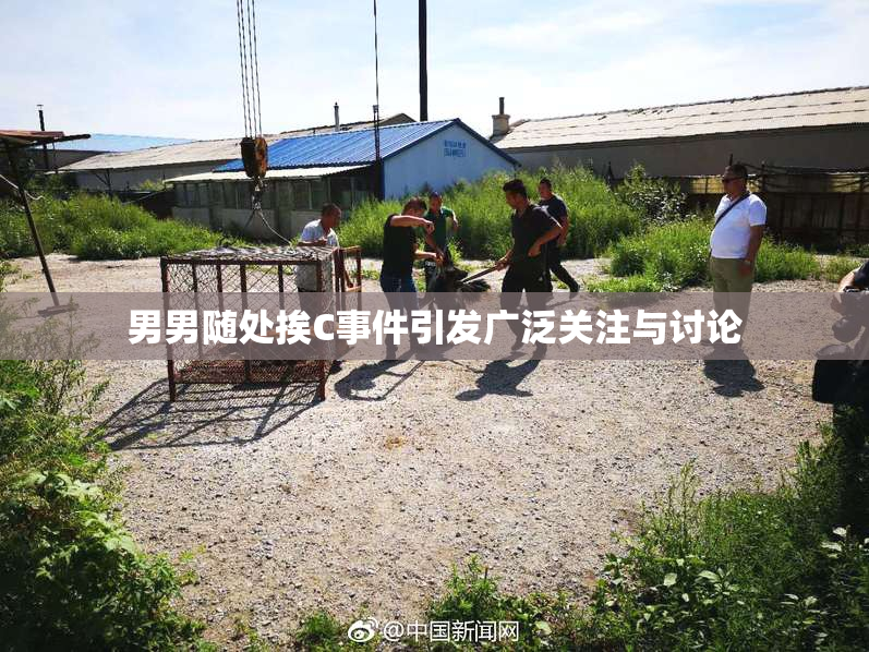 男男随处挨C事件引发广泛关注与讨论