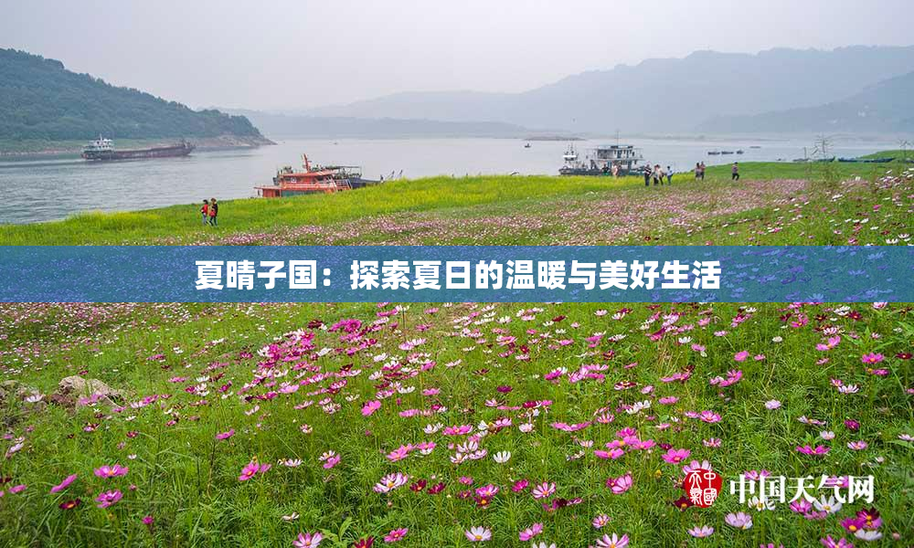 夏晴子国：探索夏日的温暖与美好生活