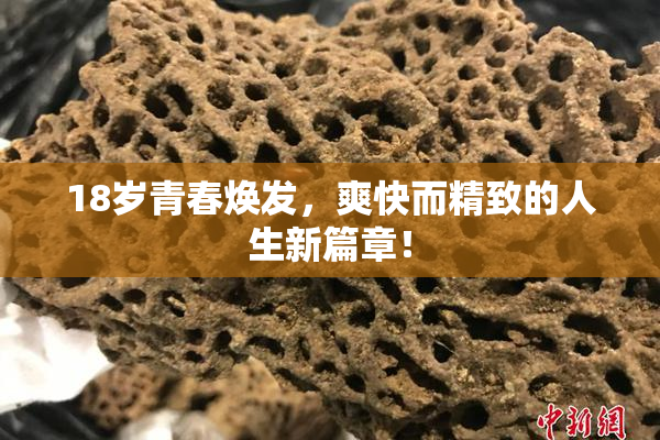 18岁青春焕发，爽快而精致的人生新篇章！