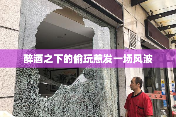 醉酒之下的偷玩惹发一场风波