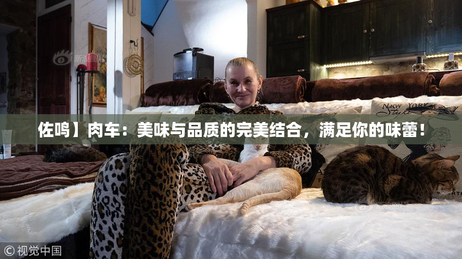佐鸣】肉车：美味与品质的完美结合，满足你的味蕾！