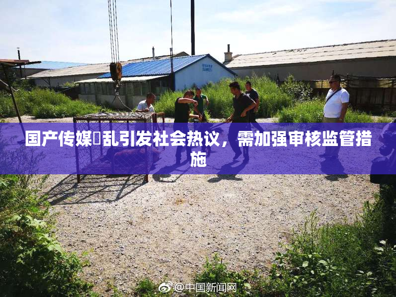 国产传媒婬乱引发社会热议，需加强审核监管措施