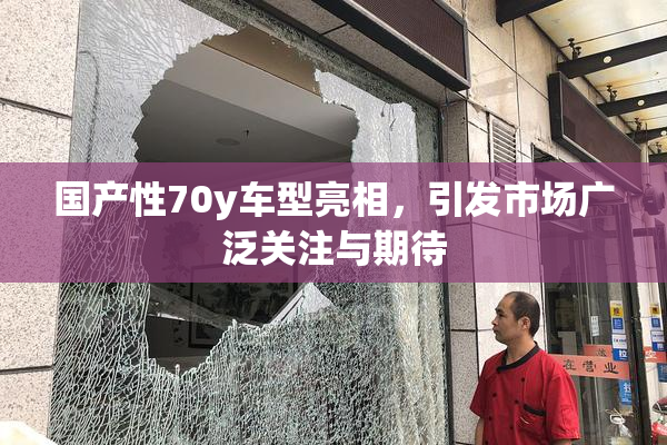 国产性70y车型亮相，引发市场广泛关注与期待
