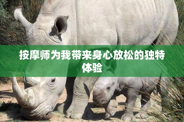 按摩师为我带来身心放松的独特体验