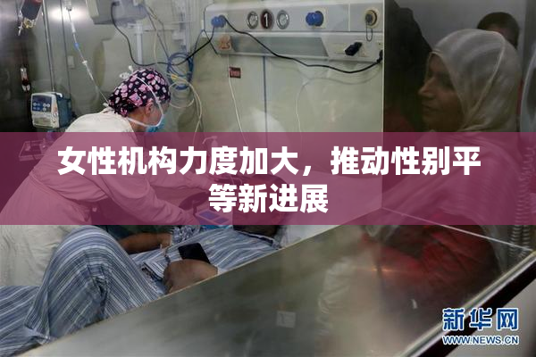 女性机构力度加大，推动性别平等新进展