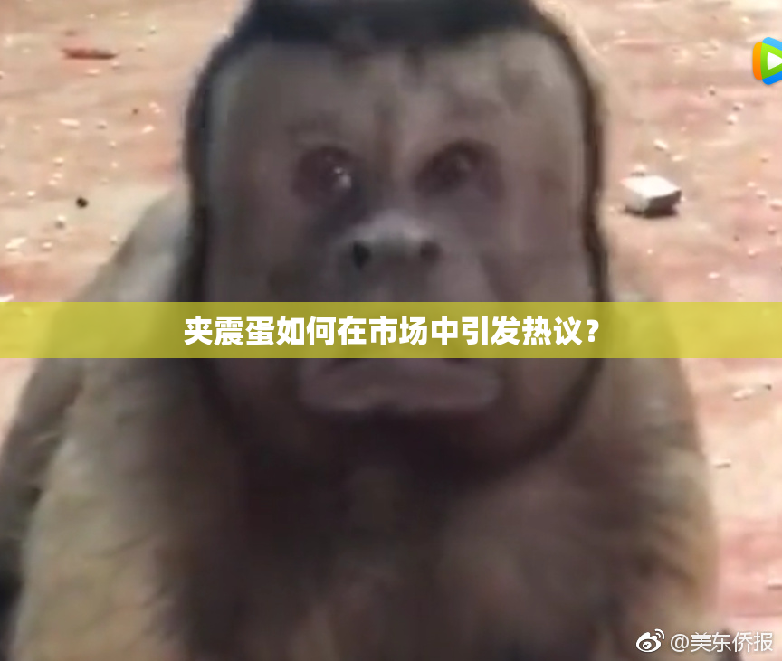 夹震蛋如何在市场中引发热议？
