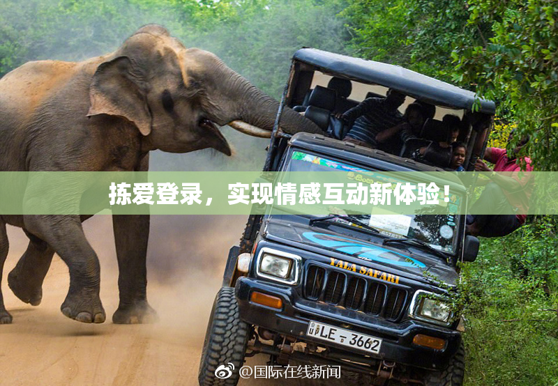 拣爱登录，实现情感互动新体验！