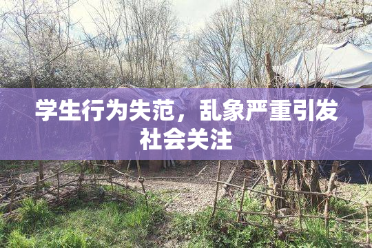 学生行为失范，乱象严重引发社会关注