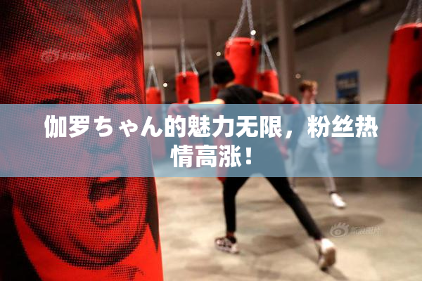 伽罗ちゃん的魅力无限，粉丝热情高涨！