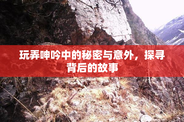 玩弄呻吟中的秘密与意外，探寻背后的故事