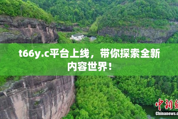 t66y.c平台上线，带你探索全新内容世界！