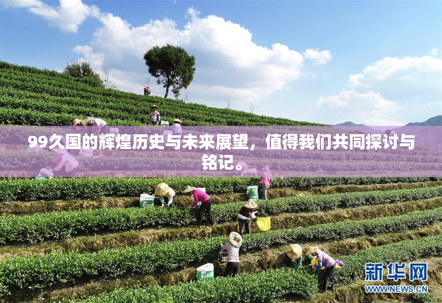 99久国的辉煌历史与未来展望，值得我们共同探讨与铭记。