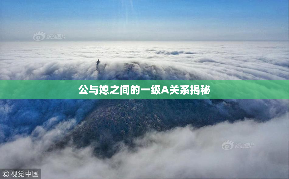 公与媳之间的一级A关系揭秘