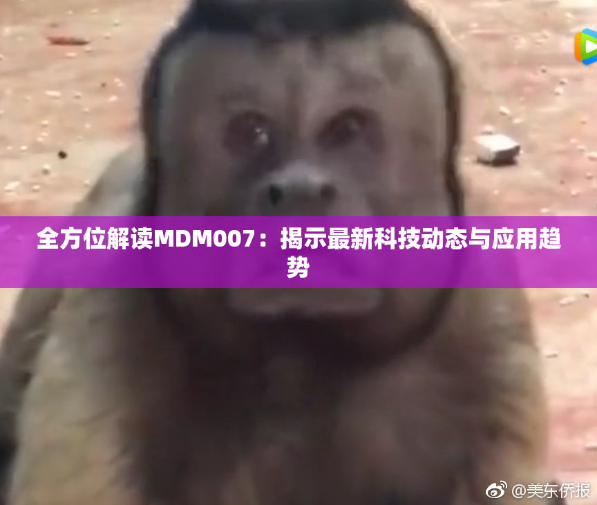 全方位解读MDM007：揭示最新科技动态与应用趋势