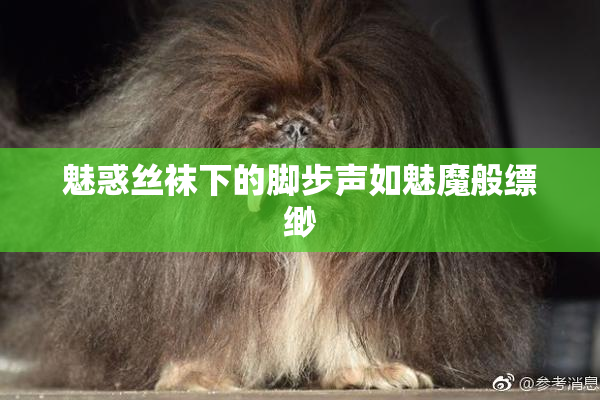 魅惑丝袜下的脚步声如魅魔般缥缈