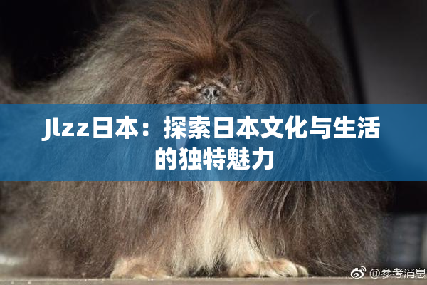 Jlzz日本：探索日本文化与生活的独特魅力