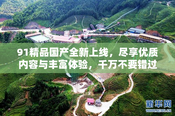 91精品国产全新上线，尽享优质内容与丰富体验，千万不要错过！