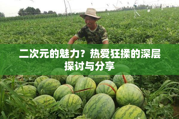 二次元的魅力？热爱狂揉的深层探讨与分享