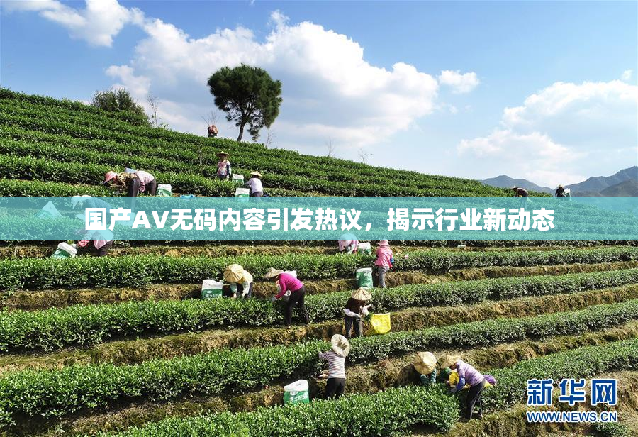 国产AV无码内容引发热议，揭示行业新动态