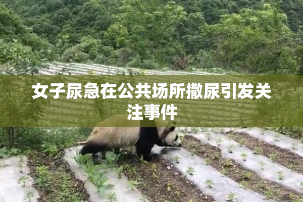 女子尿急在公共场所撒尿引发关注事件