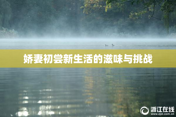娇妻初尝新生活的滋味与挑战
