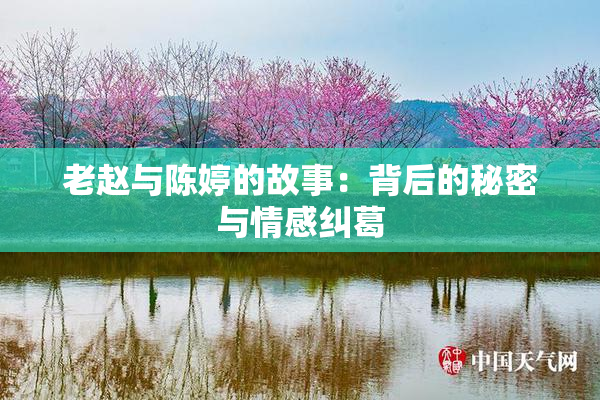老赵与陈婷的故事：背后的秘密与情感纠葛
