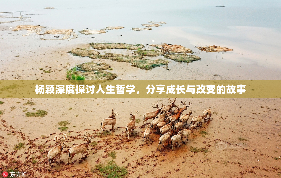 杨颖深度探讨人生哲学，分享成长与改变的故事
