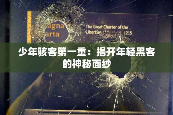 少年骇客第一重：揭开年轻黑客的神秘面纱