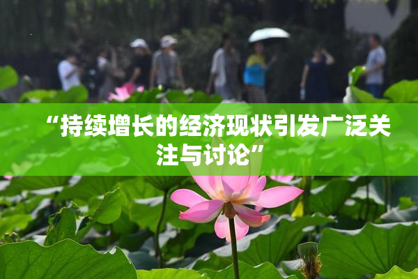 “持续增长的经济现状引发广泛关注与讨论”