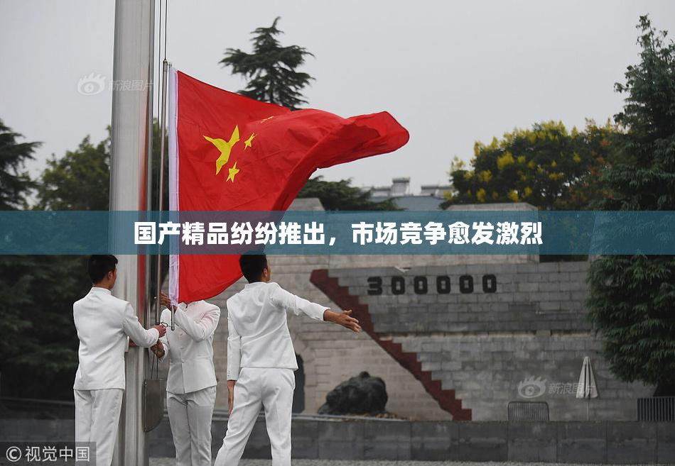 国产精品纷纷推出，市场竞争愈发激烈