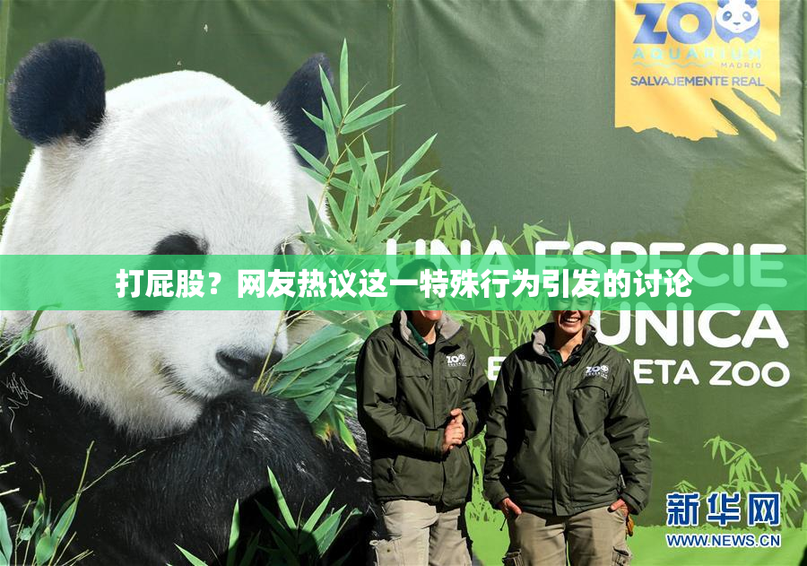 打屁股？网友热议这一特殊行为引发的讨论