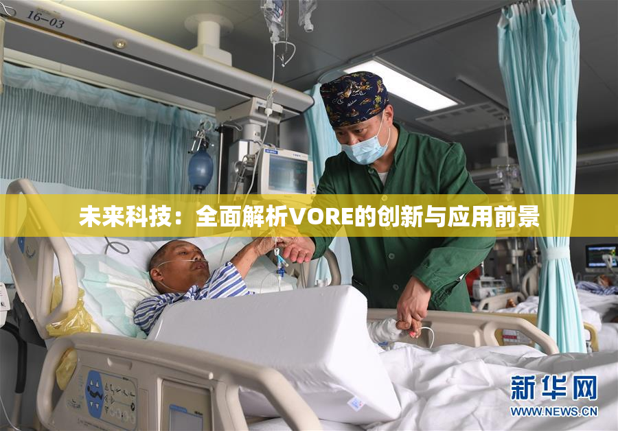 未来科技：全面解析VORE的创新与应用前景