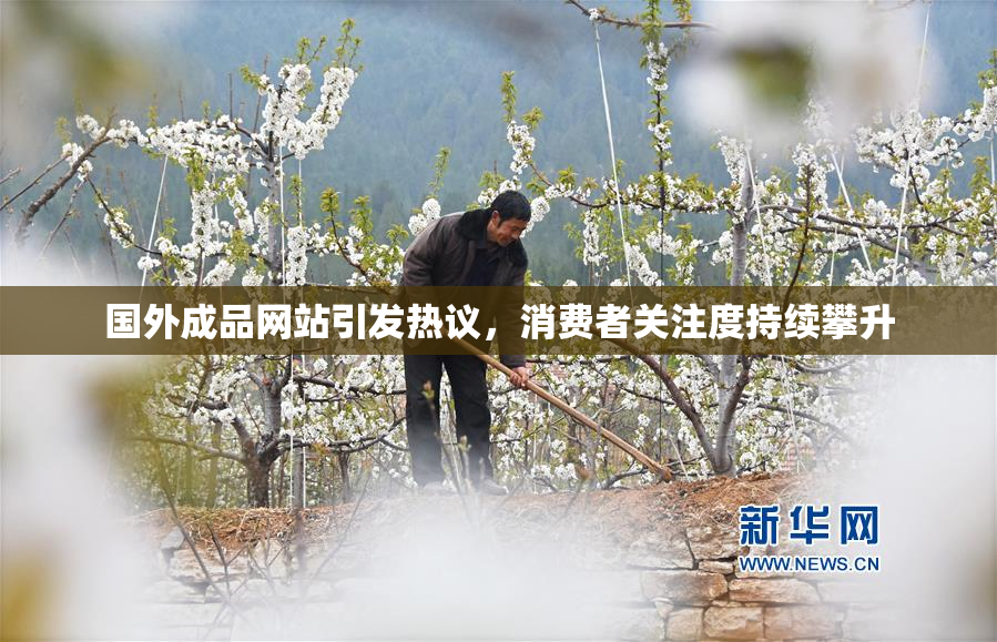 国外成品网站引发热议，消费者关注度持续攀升