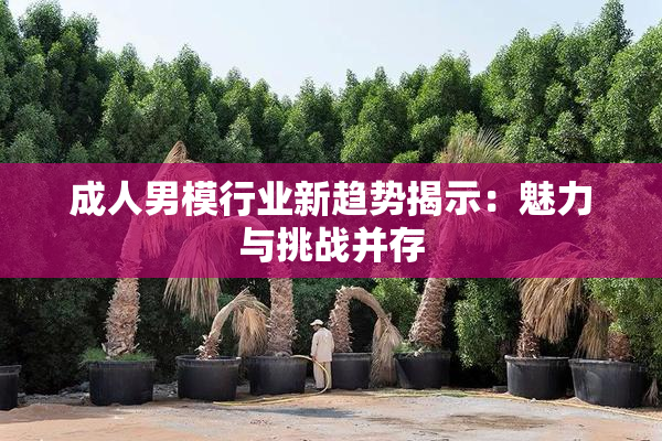 成人男模行业新趋势揭示：魅力与挑战并存